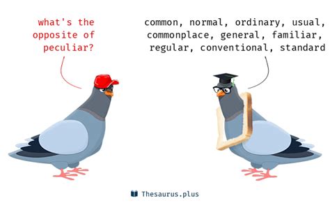 peculiar opposite meaning|Peculiar antonyms .